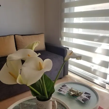 Apartment Alexandar *