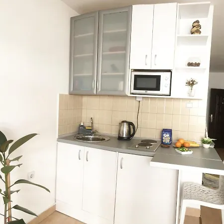 Apartment Alexandar